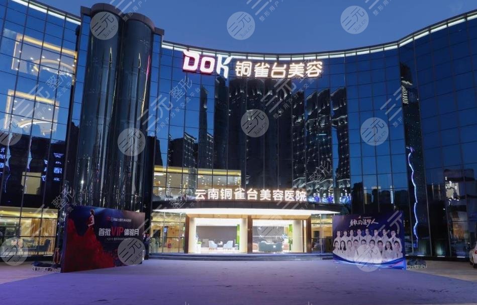 云南铜雀台整形