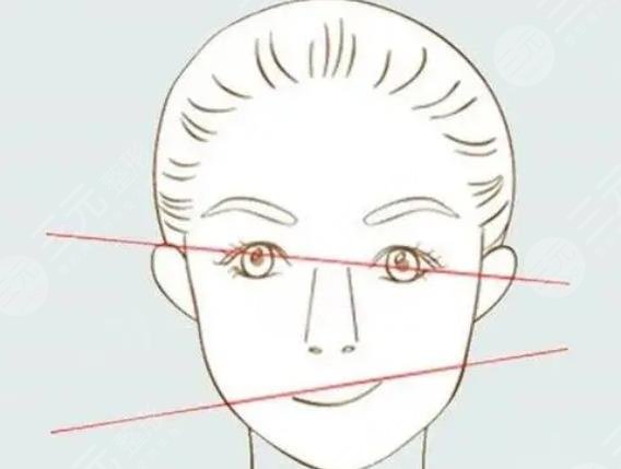 面部轮廓