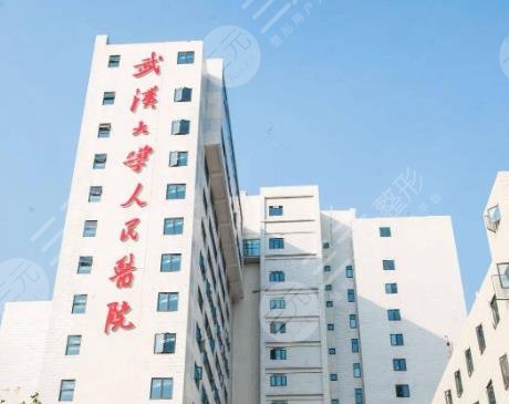 武汉大学人民医院整