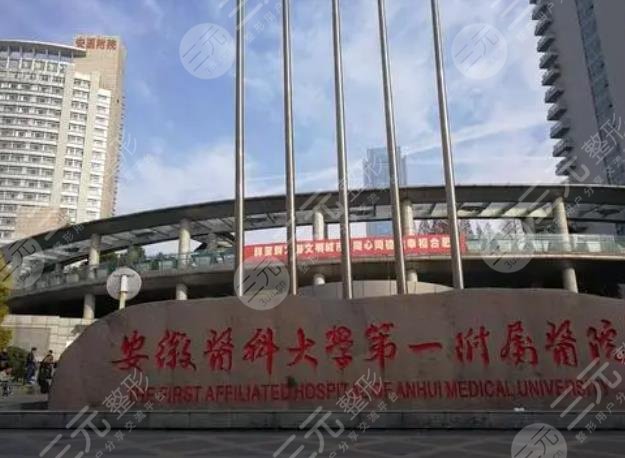 安徽医科大学第一附属医院