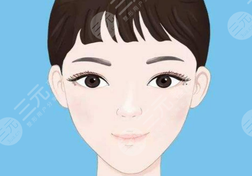 轮廓针一般打几针