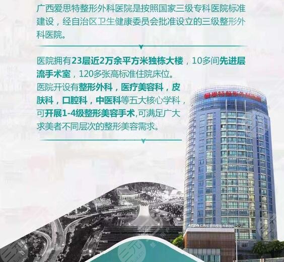 广西爱思特