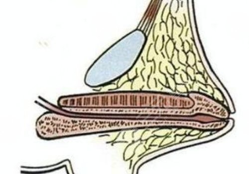 玻尿酸男性增大注射要多少钱？