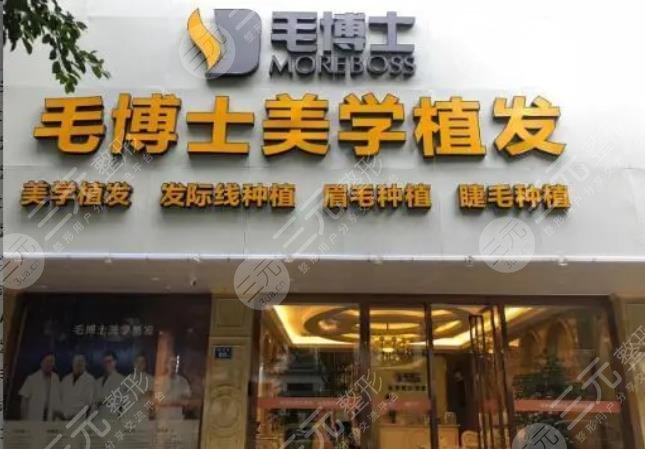 温州星范毛博士毛发移植中