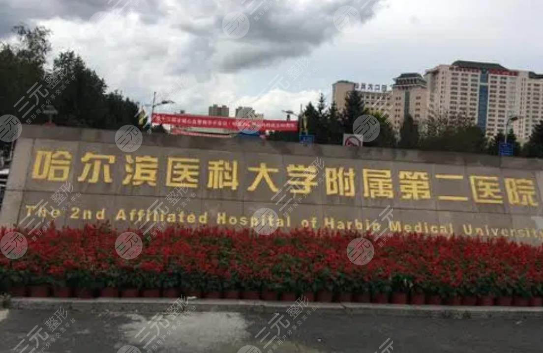 哈医大二院整