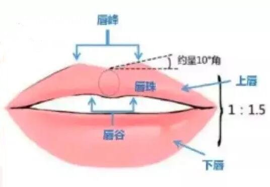 唇部受到伤之后可以整形吗?整形手术科普+收费价格参考!