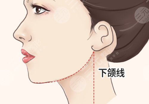 什么叫外轮廓线？脸部轮廓冷知识分享！