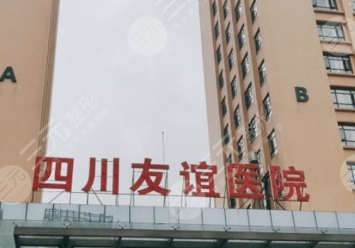 成都隆鼻前三名医院
