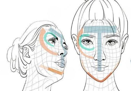 内轮廓和外轮廓的位置图片