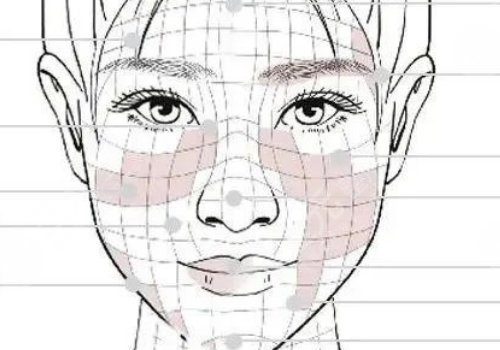 面部外轮廓固定怎么做？