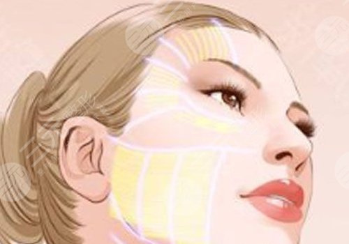 面部外轮廓固定怎么做？