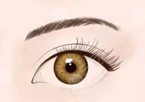 微调整形都有什么项目？