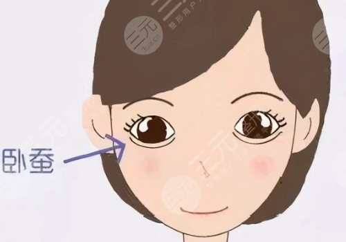 卧蚕填充用什么填好？