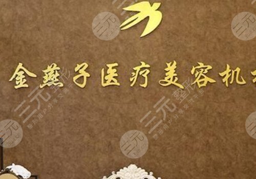 北京金燕子医疗美容怎么样？