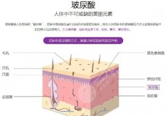 瑞蓝玻尿酸正品价格是多少?维持时间、注意事项盘点! 瑞蓝玻尿酸正品价格是多少?维持时间、注意事项盘点!