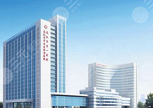 武汉市中西医结合医院
