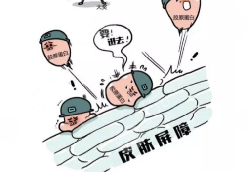 双美胶原蛋白的作用与功效有哪些？