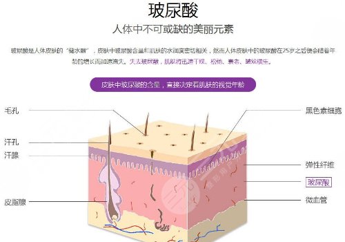 伊婉玻尿酸c和v的区别