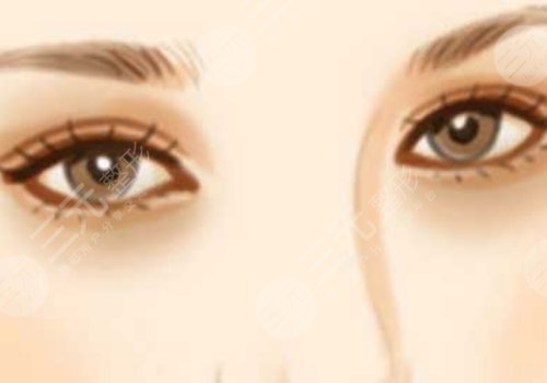 石杭燕技术怎么样