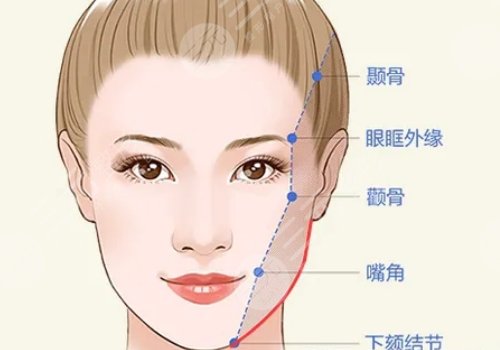 面部折叠度高好看吗