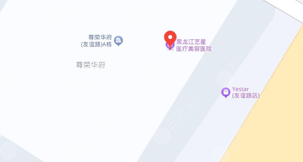 黑龙江艺星医