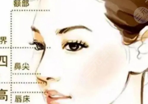 八大处王克明做鼻子怎么样
