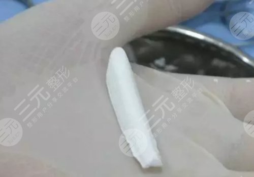 美植挺和立秀的差别