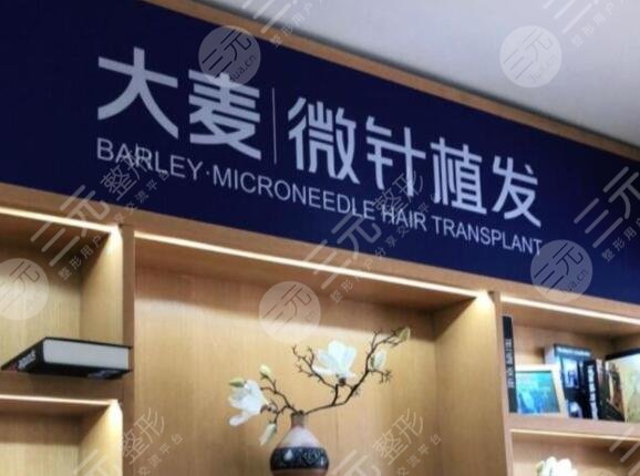 厦门大麦微针植发