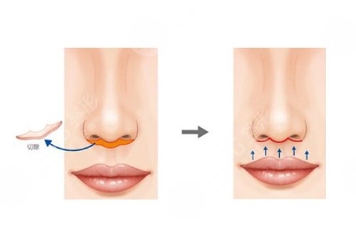 上海丽质医疗美容门诊部