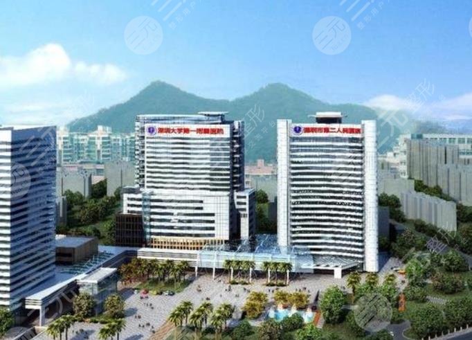深圳市第二人民医院整形科介绍
