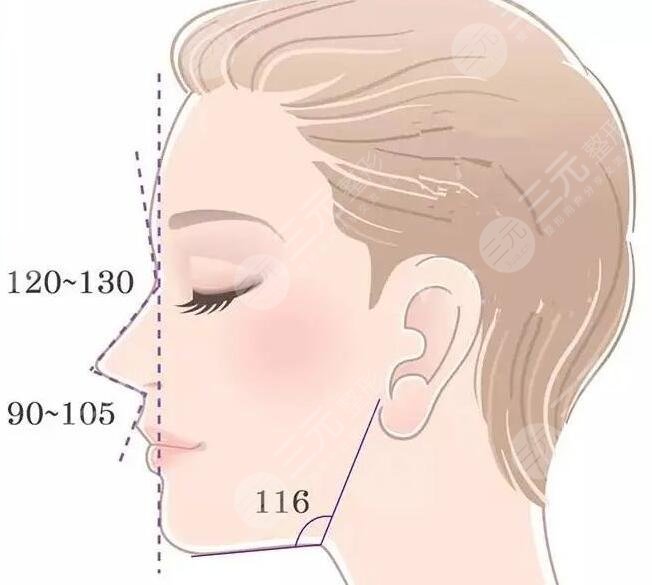 妈生鼻是用什么材料做的?