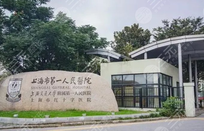 上海第一人民医院做鼻子手术费用多少钱