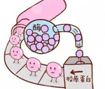 胶原蛋白和玻尿酸丰唇哪个效果好？美唇小课堂，教你选择！