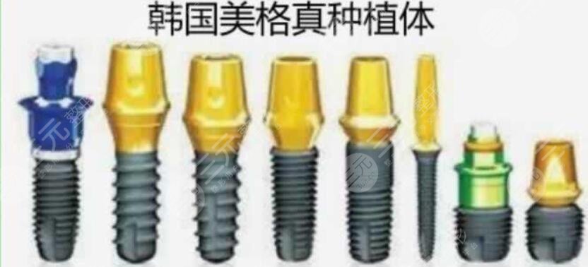 美格真