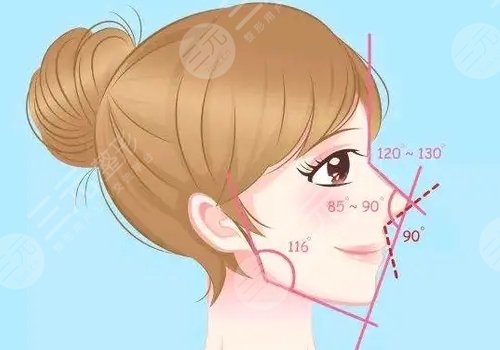 水滴鼻和鹰钩鼻图片