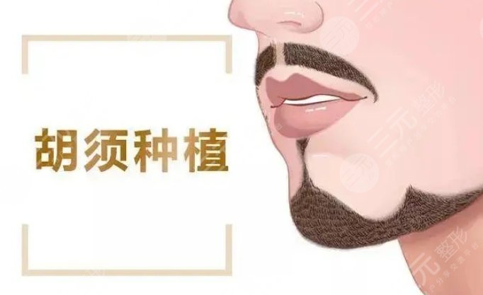 胡须种植