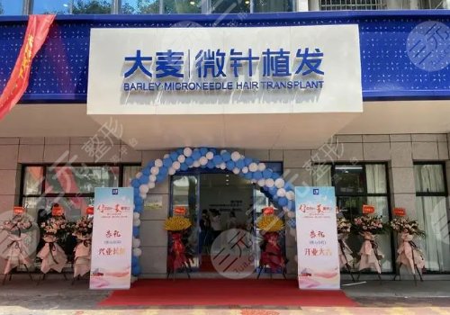 沈阳大麦微针植发怎么样?