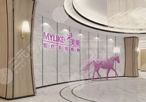 上海美莱怎么样?