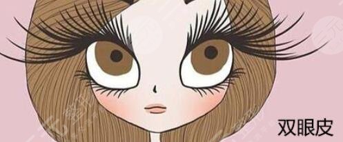 双眼皮