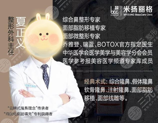 夏正义