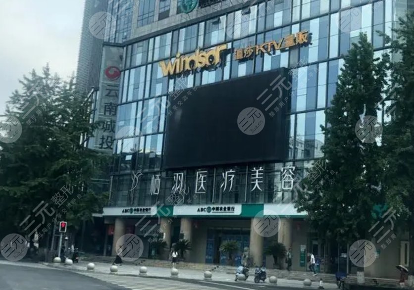 栖羽医疗