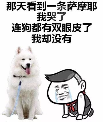 双眼皮