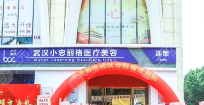 武汉小忠丽格整