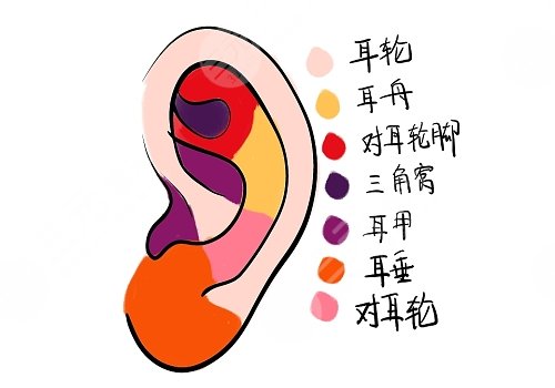 北京八大处耳朵整形价格一览表