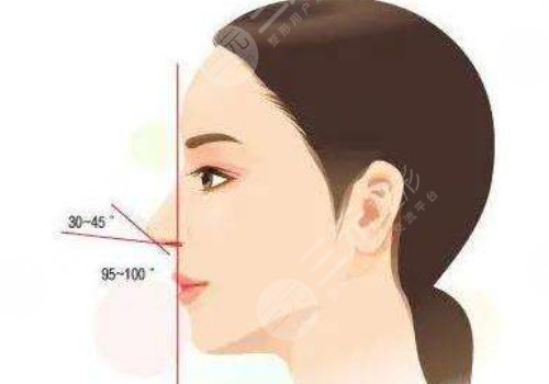 余龙做鼻子好看吗？