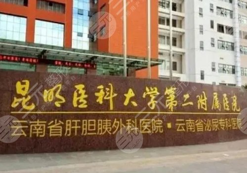昆医附二院肖鸿医生切眼袋怎么样呀?