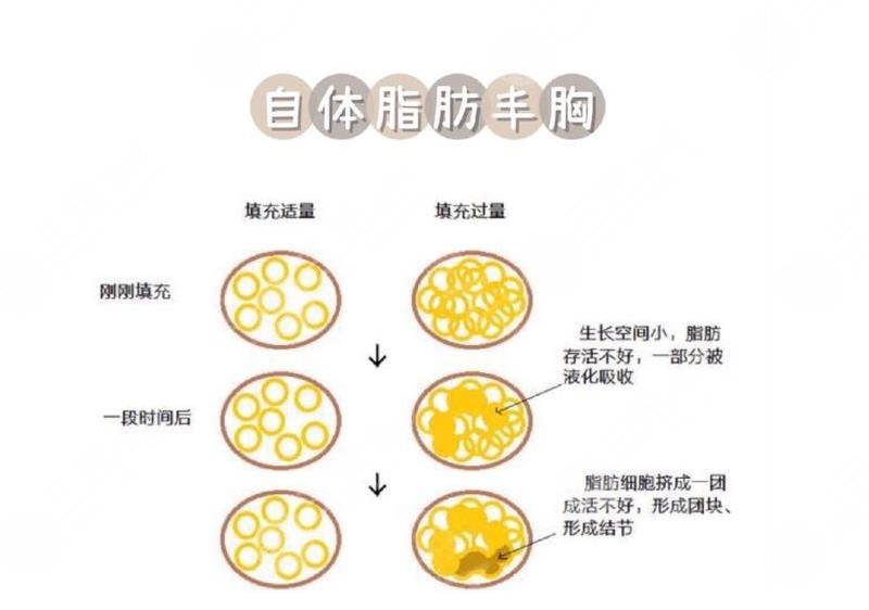 上海百达丽