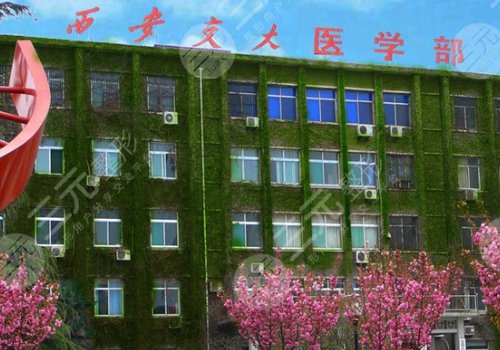 交大一附院牙科价目表