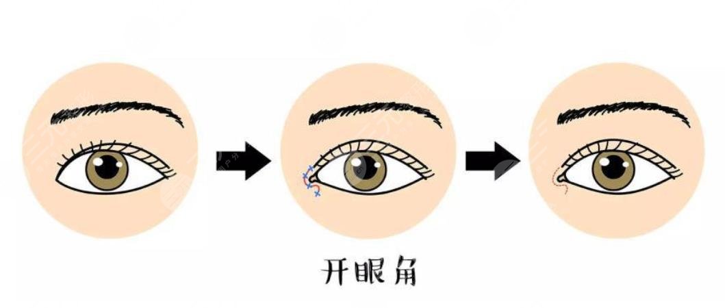 陈新平医生在上海哪个医院坐诊?