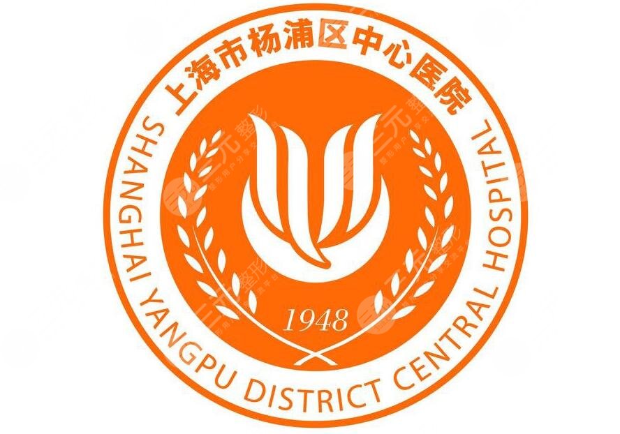 上海市杨浦区中心医院整形外科简介
